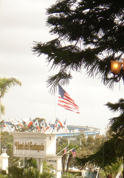 martine_coronado hotel-bridge