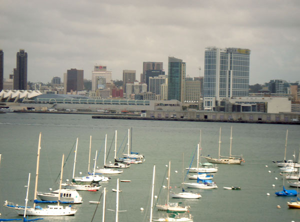 martine_san diego view